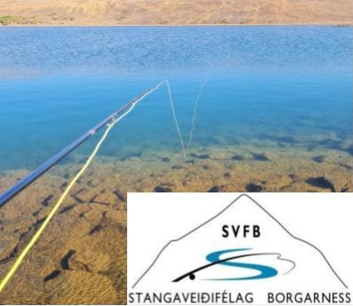Veiðidagur fjölskyldunnar við Hlíðarvatn í Hnappadal 21.júní